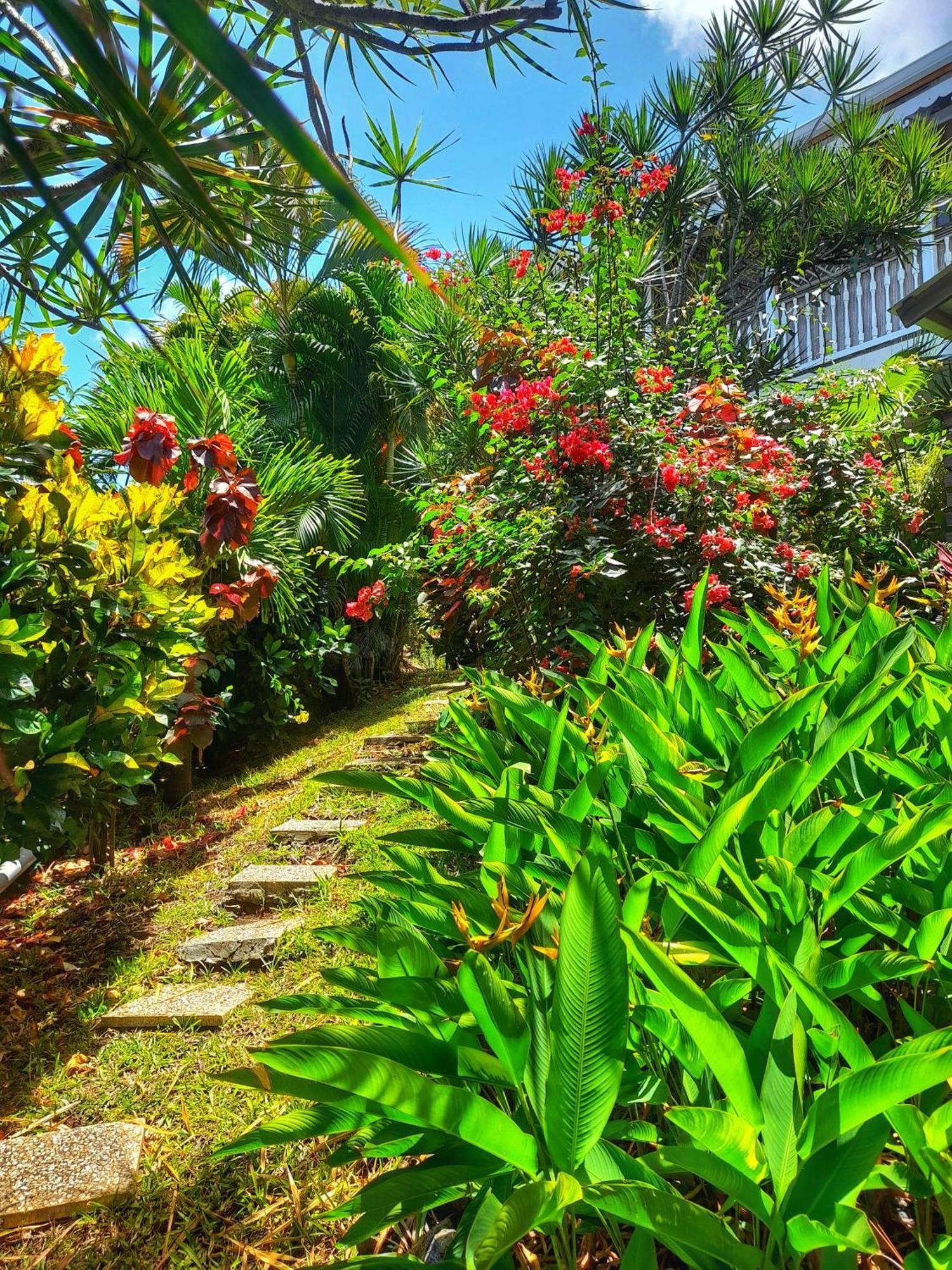 Studio Frangipani - Villa Fleurs des Iles Le Vauclin Esterno foto